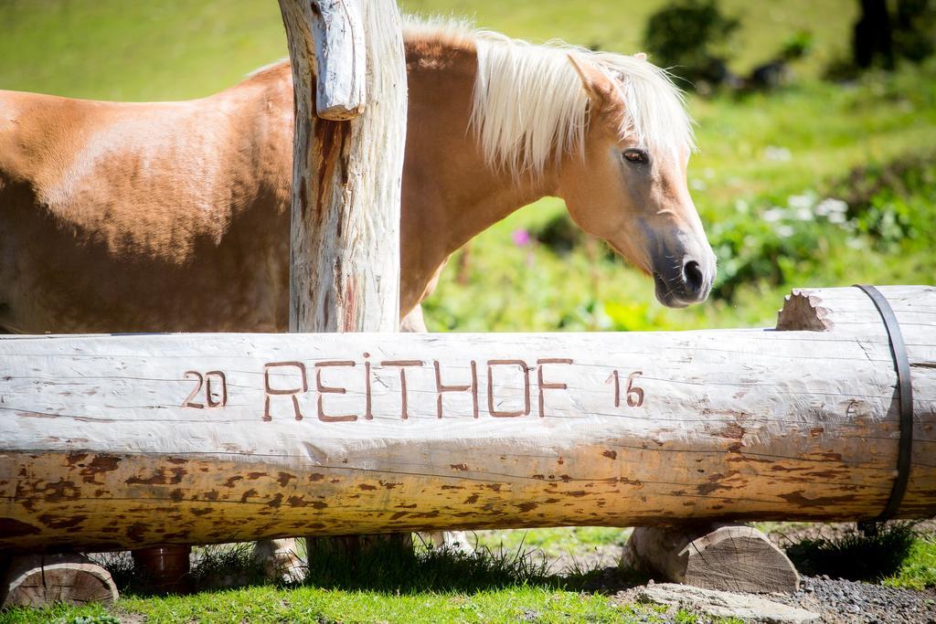 Hotel Almhof-Reithof Pitztal Sankt Leonhard im Pitztal Esterno foto